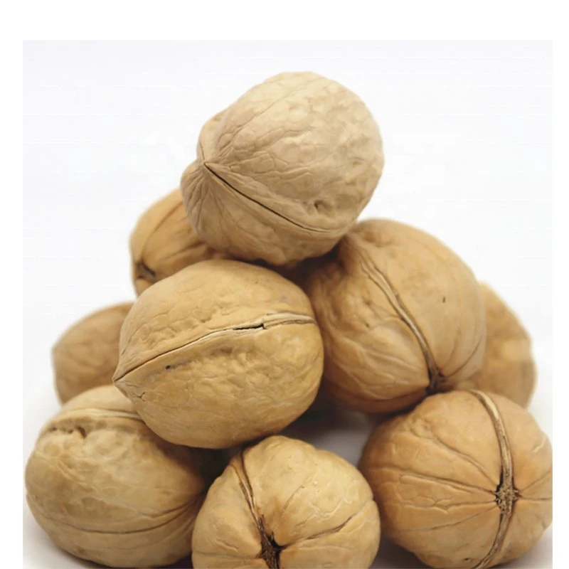 2021 New Crop Harvest Walnut/Walnut in Shell /Walnut Kernel at Good Price