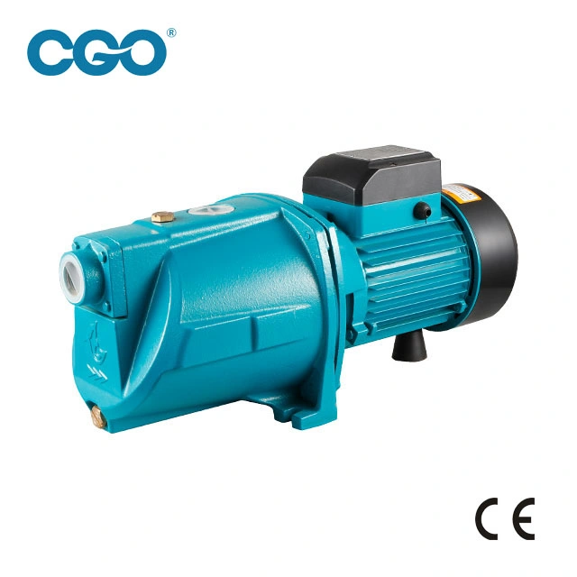 0.6kw Popular Booster Jet Self-Priming Pump for Agricultural Use