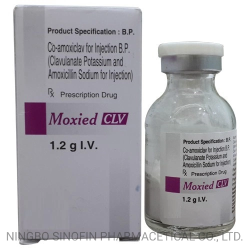 GMP Pharmaceutical Medicine 600 ملغ و1.2غ أموكسيلين سوديوم وكلافولانيت بوتواسيوم الحقن