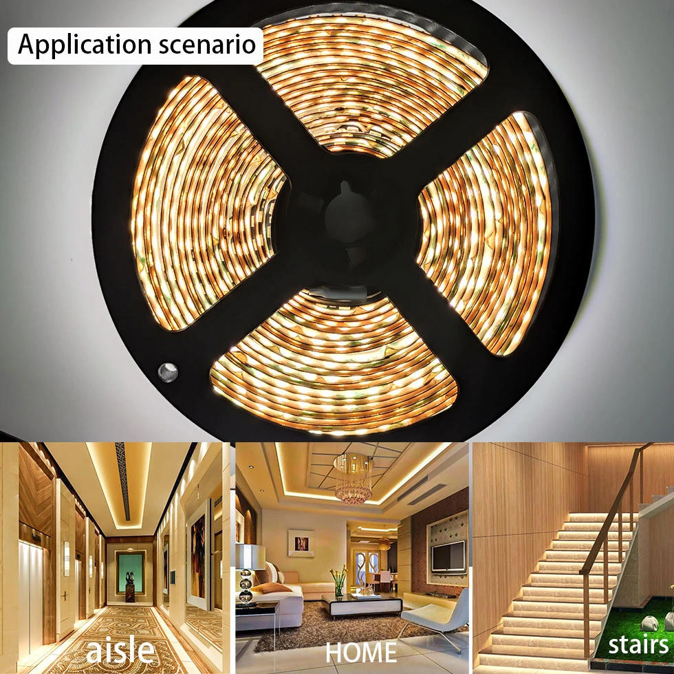 New Promotional Flexible Quality DC 24V IP20 IP65 IP67 Warm White LED Strip Light