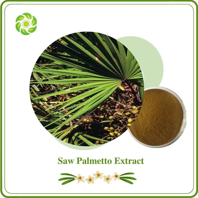 World Well-Being Natural Pure Plant Extract Saw Palmetto Extract Pharmaceutical Grade