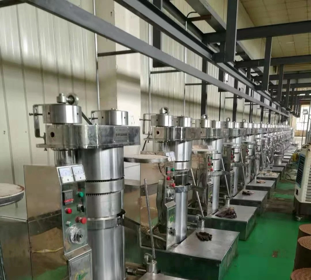 Vertical Hydraulic Oil Press, Convenient and Fast, Low Power Consumption