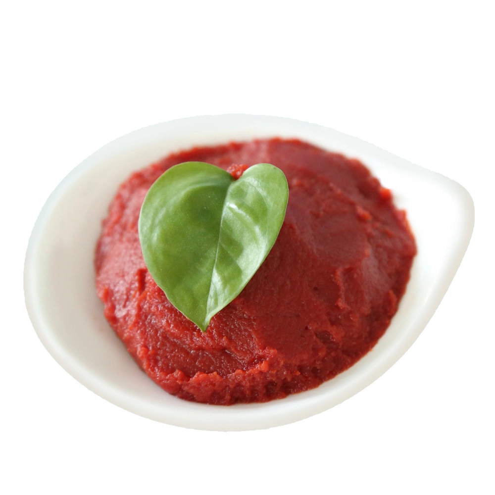 Premium-Qualität Tomatenpaste mit frischen roten Farbe, Double Concenter Tomatenpaste