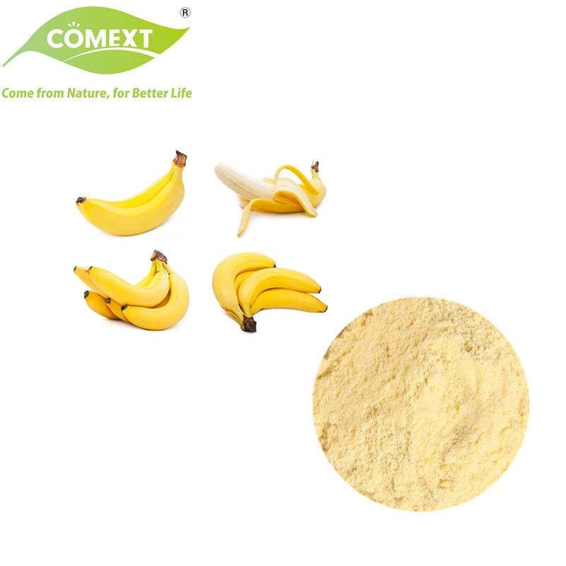 Comext Großhandel/Lieferant Kostenlose Probe Beste Qualität Superfood 100% Natürliche Freeze Getrocknetes Bananenfrucht-Pulver