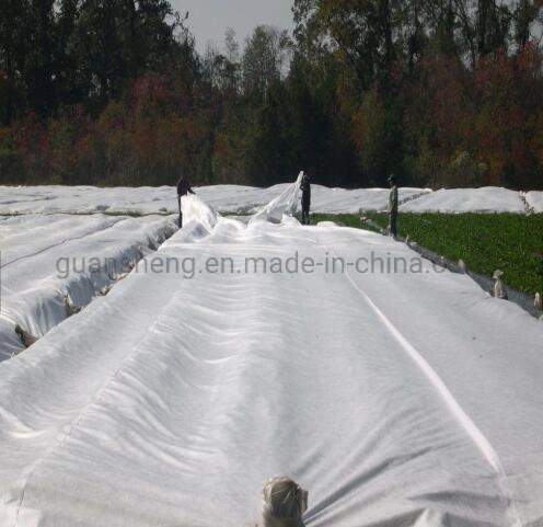 Zhejiang Guansheng Ccompany Made in China Good Quality Good Serves Moisturized Plant Fabric Nonwoven Fabric Agriculture Covers Fabric