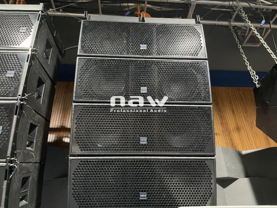 Professional 12 Inch Double Inch Outdoor Concert Hanging Speaker Line Array System Naw Audio