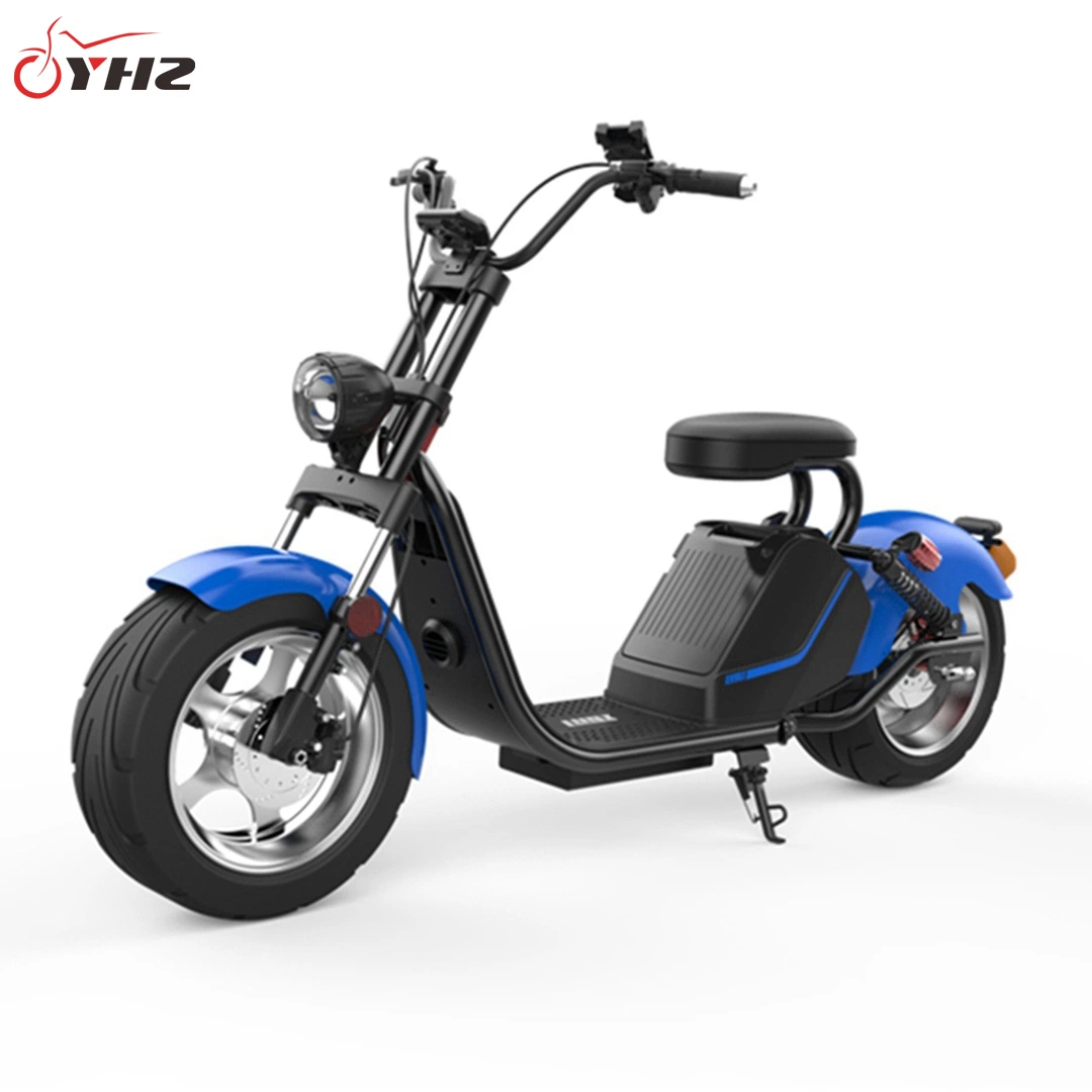 EEC 3000W Fat Tire Electric Motorcycle