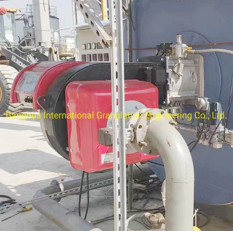 China Famous Brand Oil Fuel Natural Gas Fired Burners for Boiler