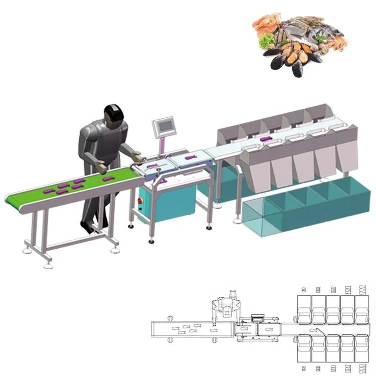 Automatic Digital Conveyor Belt Fish Shrimp Sorting Machine Checkweigher Sorting Machine Grader Sorter Machine