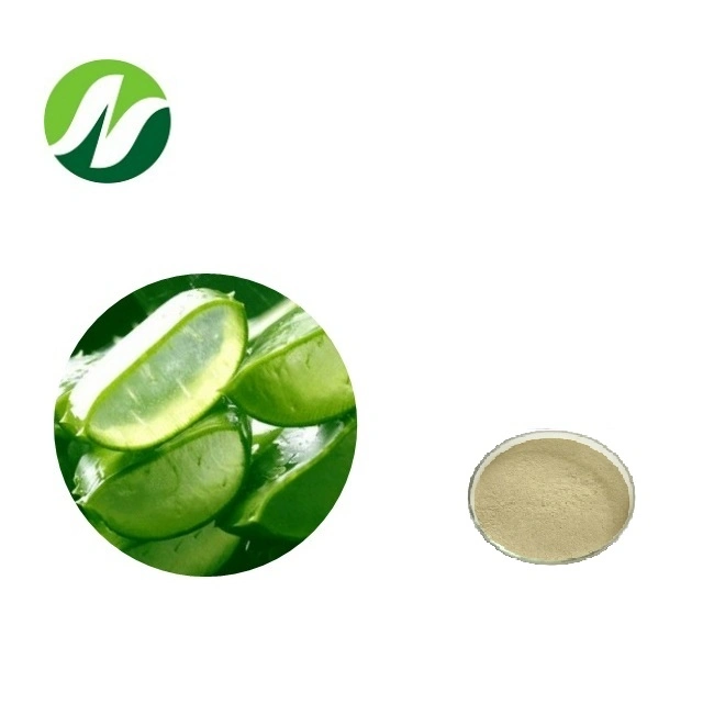 Melhor qualidade fabricante fornecimento 100:1 200:1 Aloe Vera Extract