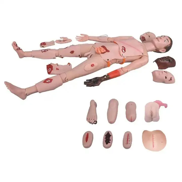 Human Nursing Model for Medical Nursing Training