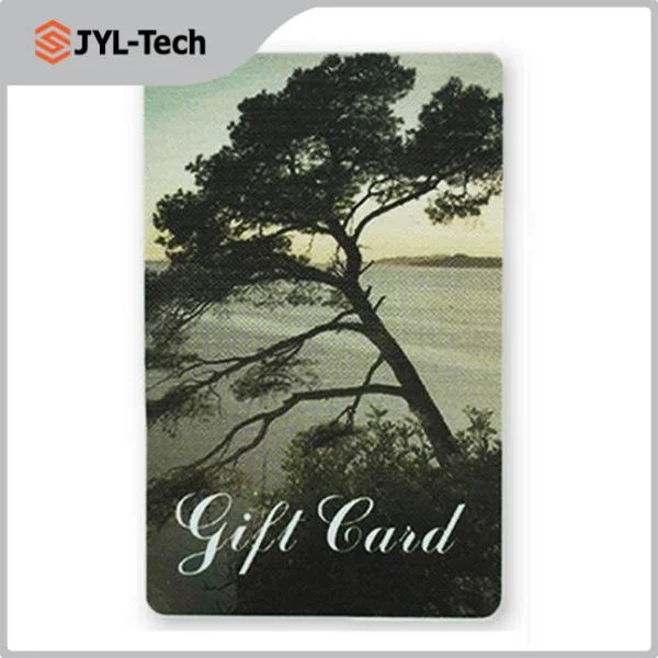 Photo Printing 13.56MHz Ntag215 Plastic RFID Business NFC Card for Commercial Connection