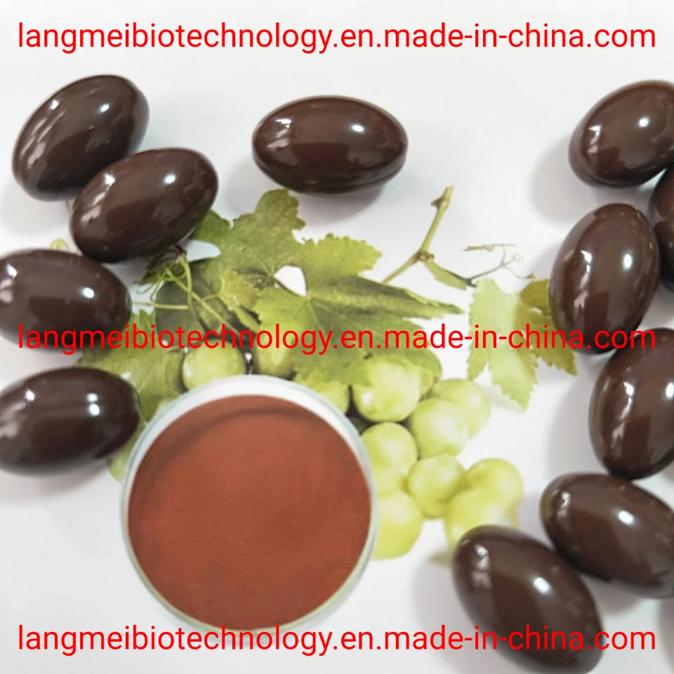 Antioxidant Supplement Grape Seed Extract Capsules in Beauty & Personal Care