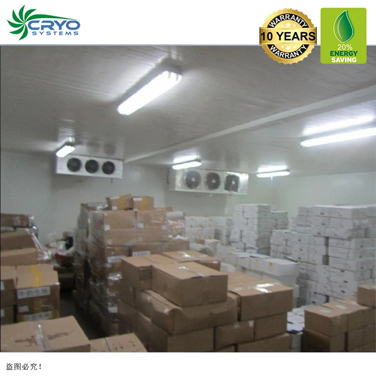 White Onion Water Melon Seeds Cold Storage Room Ventilation Bally Cold Room Cold Storage for Onion