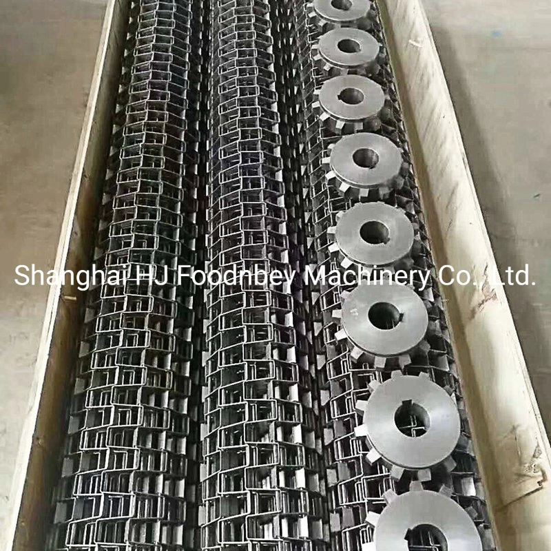 Stainless Steel Conveyor System for Fruit Washing and Drying Machine