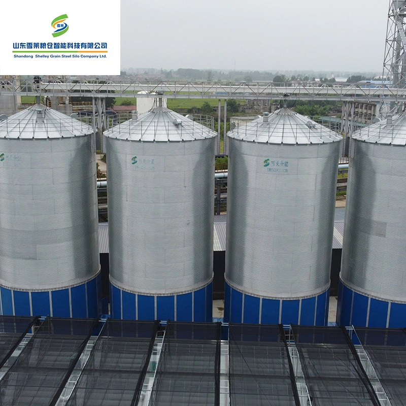 Wheat Maize Paddy Rice Grain storage Silos 500tons 1000tons Factory Price for Sale