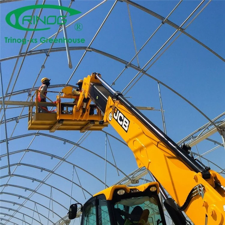 China Good Quality Large Space High Tech Film Greenhouse For Vegetable