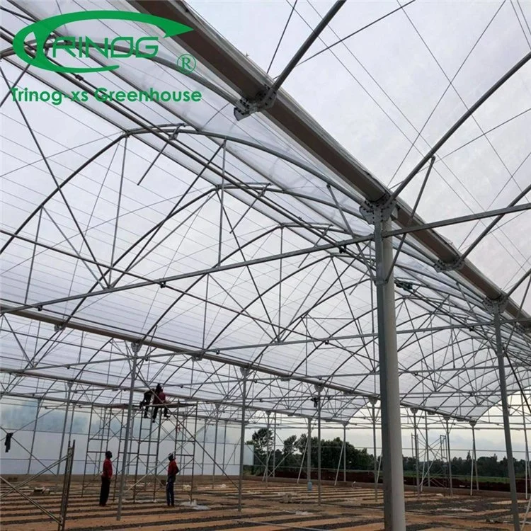 New Design Inner Shading System Cooling Multi-span Film Greenhouse for Agriculture From China