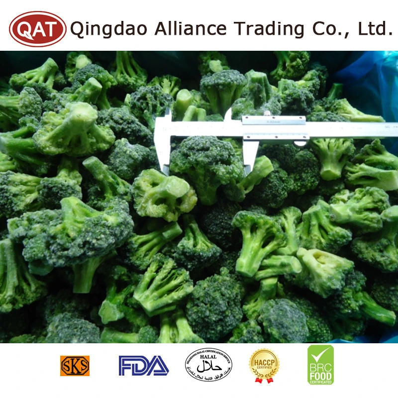 Health Vegetables Frozen Green Broccli IQF Carrot Potato Cauliflower Broccoli with Great Value Exported to EU
