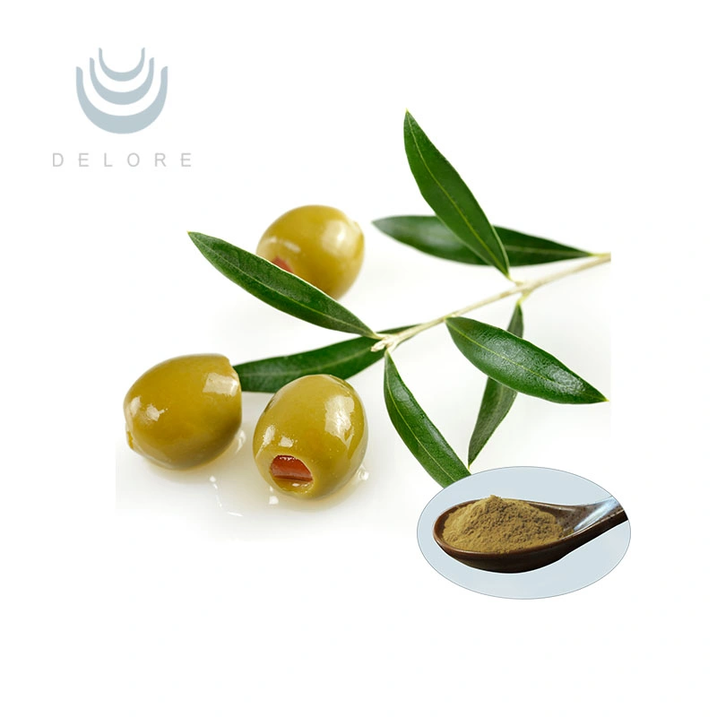 Organic Olive Leaf Extract 10%-40% Maslinic Acid Powder