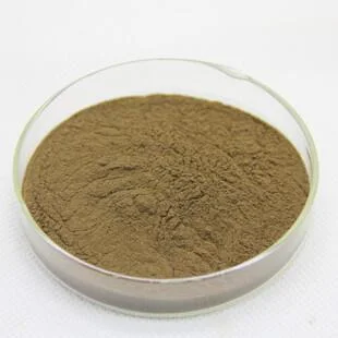 ISO22000 Halhal Certifcated Seimei Fruit Powder Prune Extract