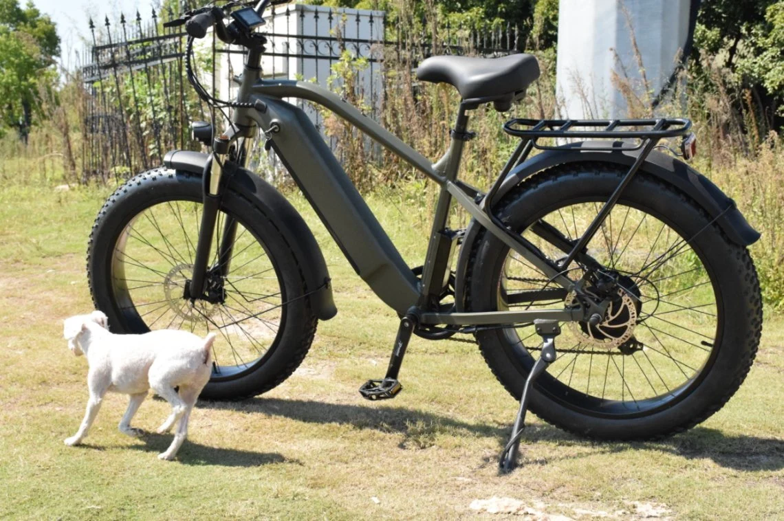 Vélo saleté Ebike Chine batterie amovible usine Prix graisse de montagne Pneu vélo électrique