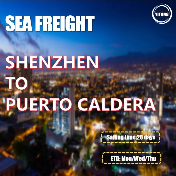Shipping Container From Shenzhen to Puerto Caldera Costa Rica