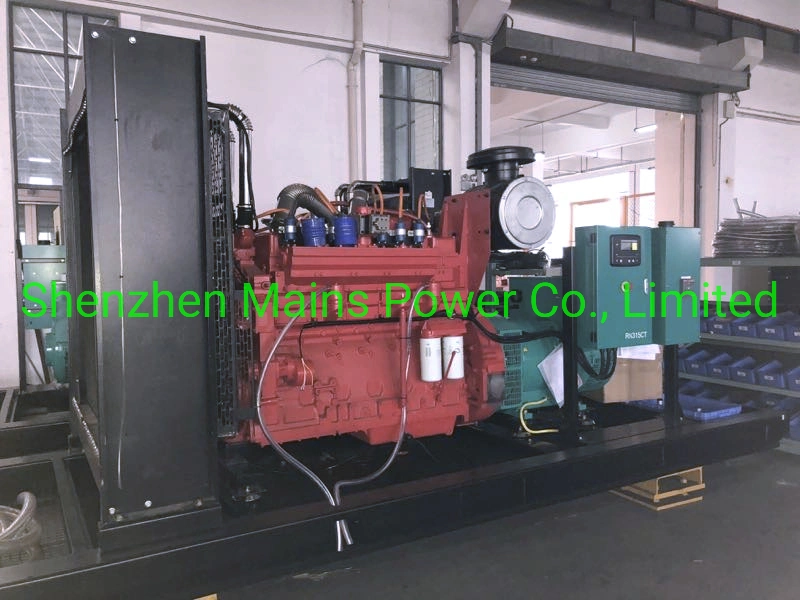 325kVA 260kw Cumins Erdgasgenerator 325kVA Cumins Erdgas Generator