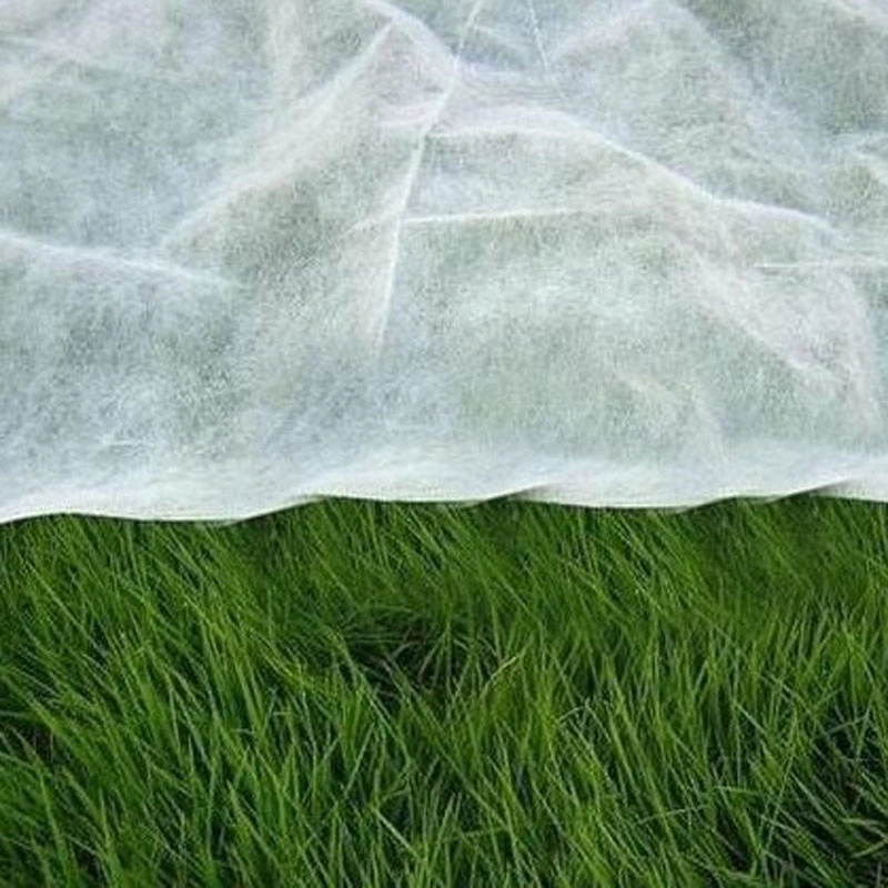 PP Spun-Bonded Non-Woven Fabrics for Agriculture