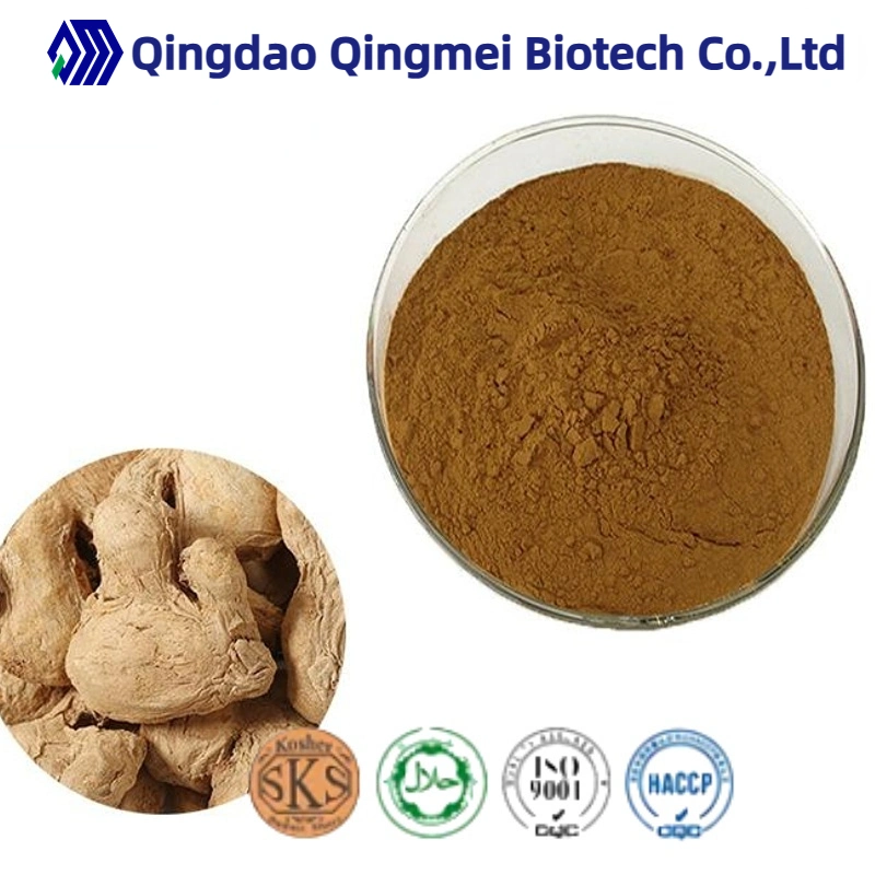 Factory Supply Natural Ginger Extract