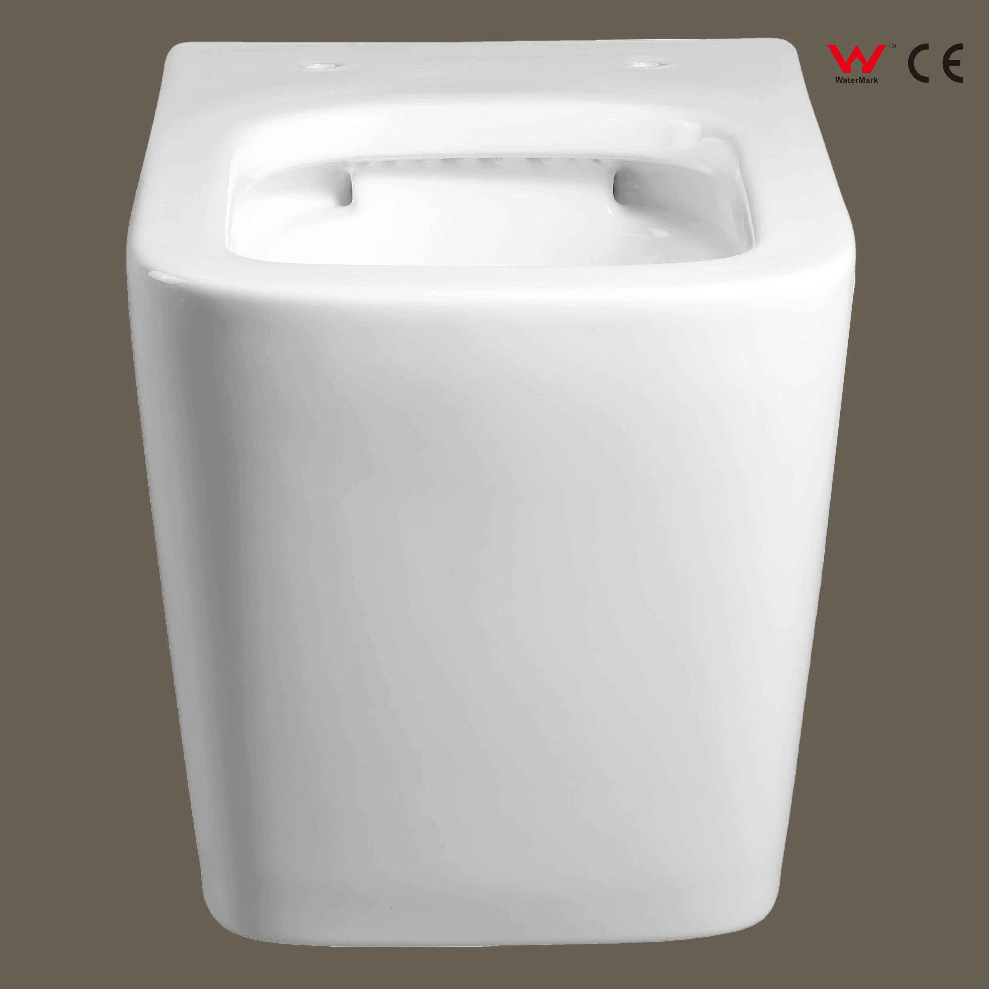 Sanitary Ware P Trap Water Closet Watermark Wall Hung Ceramic Wc Toilet