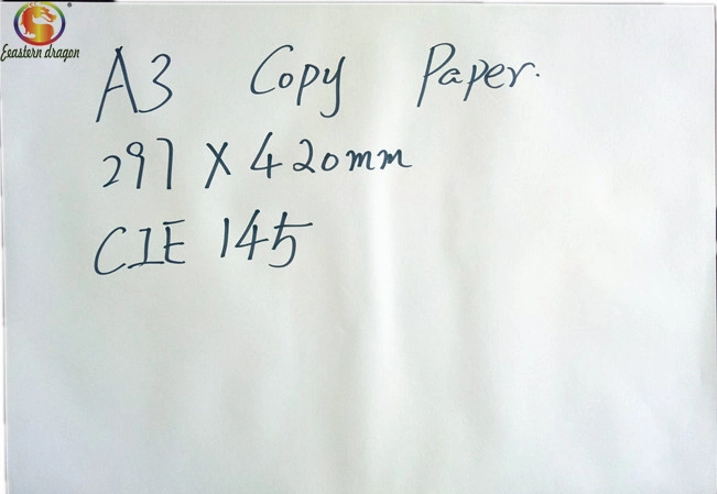 Factory Sales A4 100% WoodPulp ESD Cleanroom Copy Paper