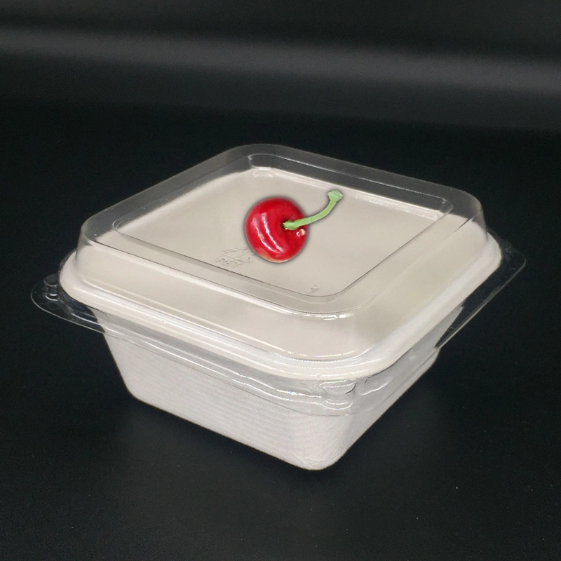 Biologisch abbaubare Lebensmittelverpackung Bagasse 250ml Square Box, Zuckerrohr Dinner Box