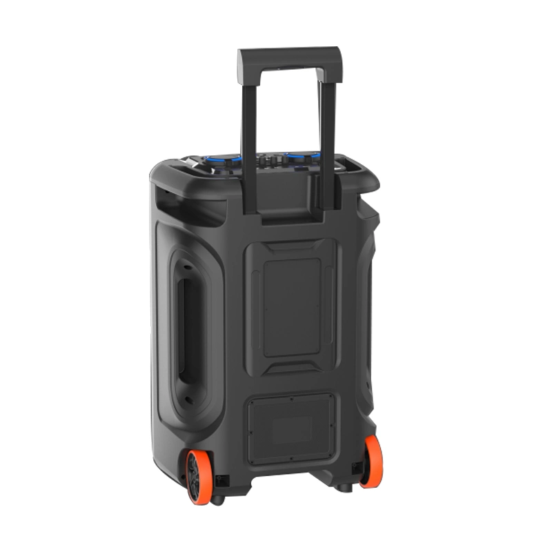 Portable Speaker12 Inch Factory OEM Outdoor Karaoke Subwoofers Trolley Party Speaker