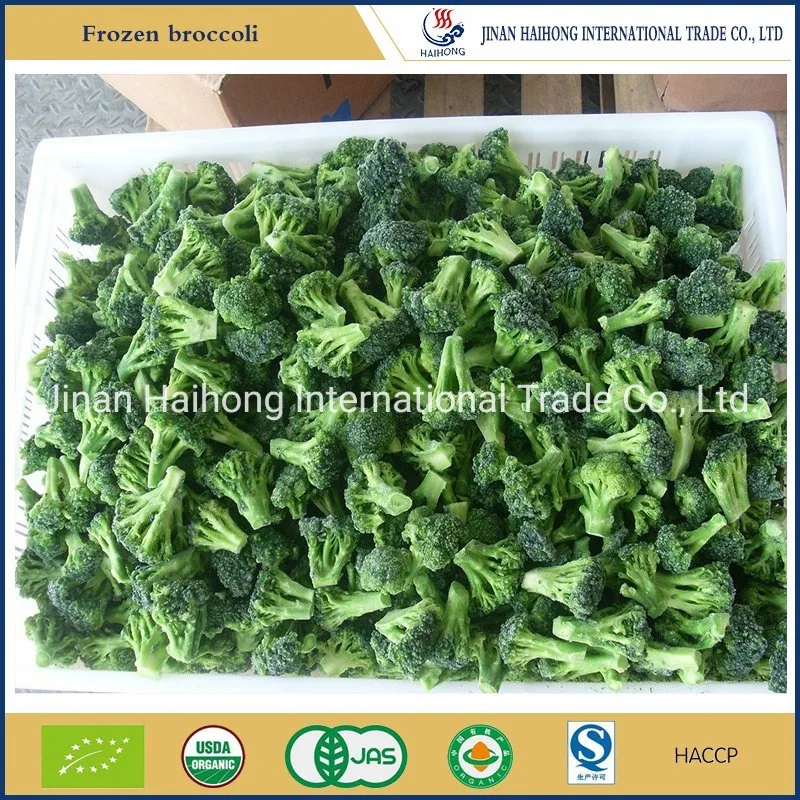 IQF Frozen Broccoli From China Supplier