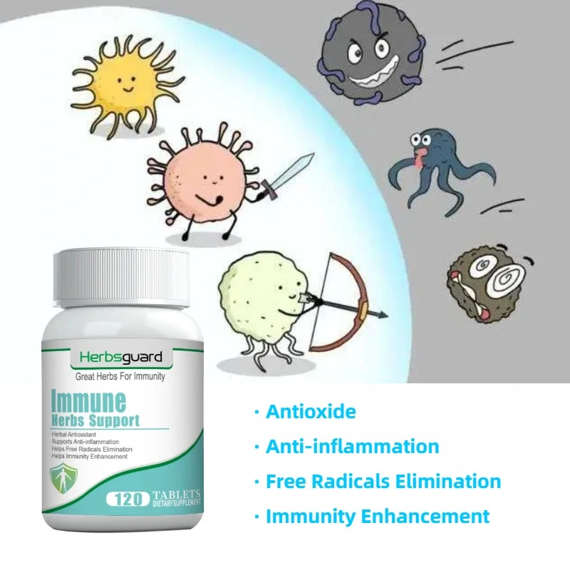 Top Organic Food Immune Daily Dietry Supplement Поддержка естественного тела Системы обороны
