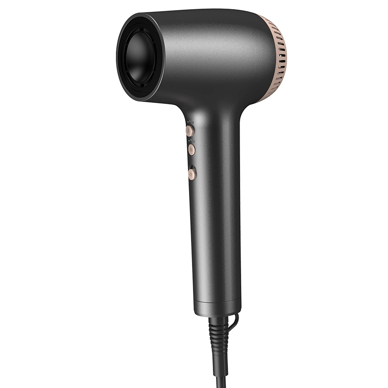 Bidisco Hot Selling 110000 Rpm Wholesale/Supplier Professional Ionic Hair Dryer with Brushless Motor BLDC Blow Dryer