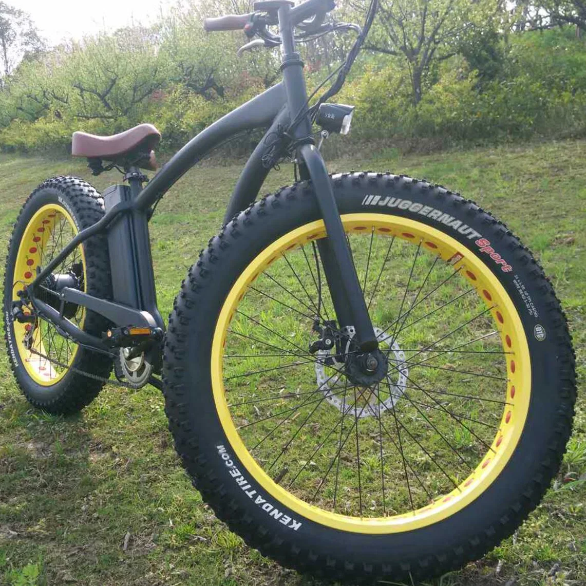 500W/750W Bafun Bafang Motor Fat Tire Mountain Wholesale/Supplier Electric Bicycle