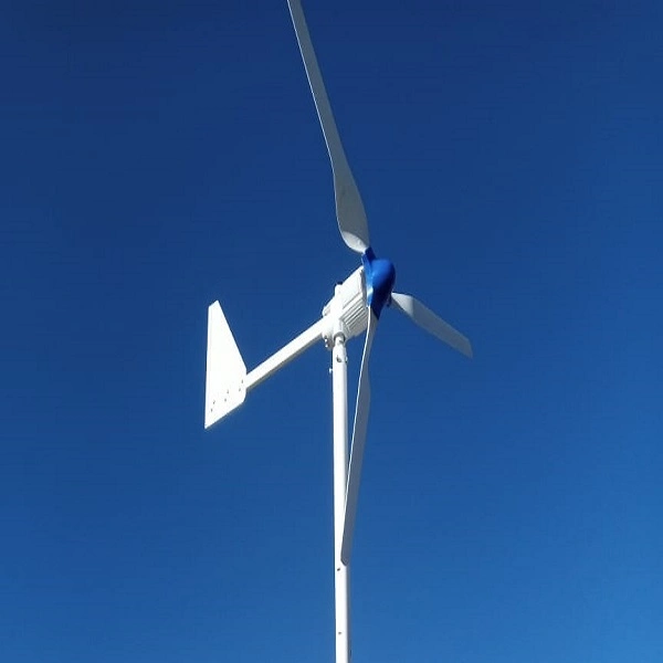 Hot Sale 1000W 24V 48V Wind Turbines Wind Power Generator for Home