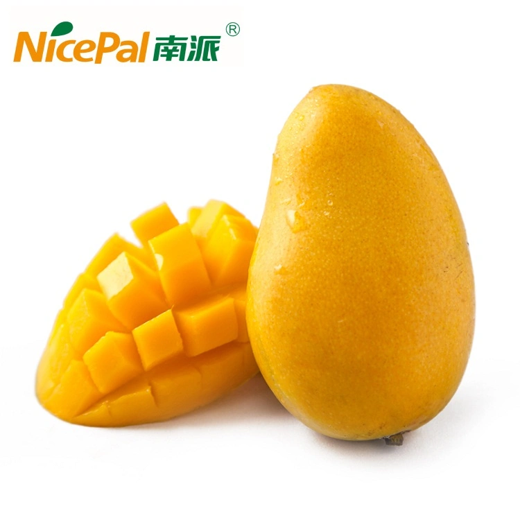 Top Quality 100% Pure Taste Spray Dried Mango Fruit Powder