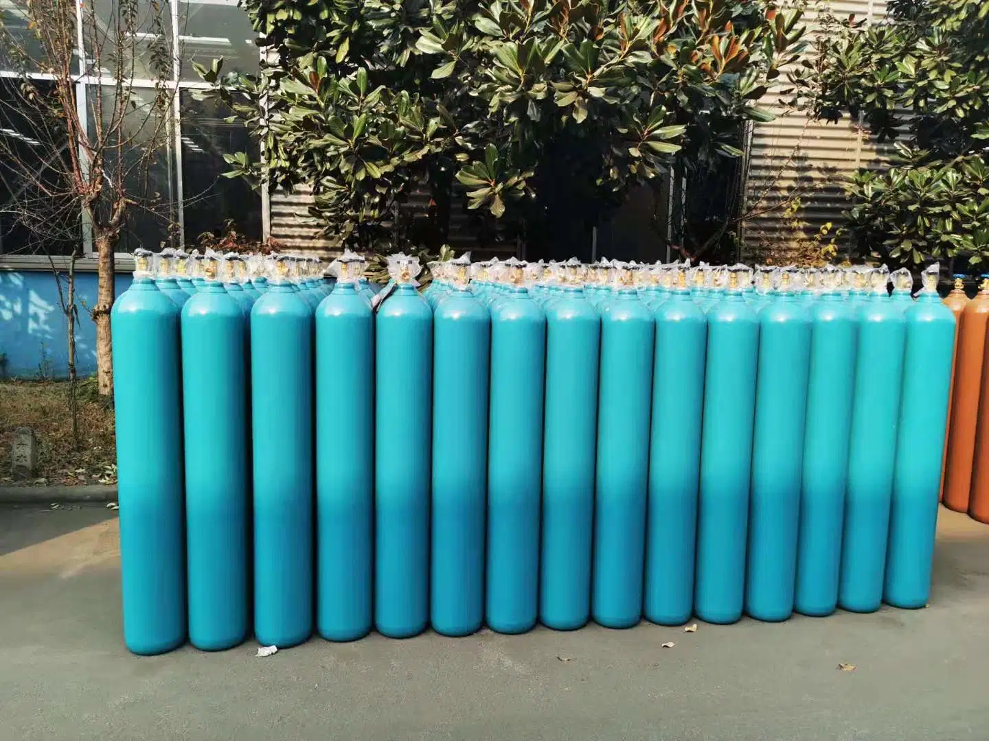 40L200bar 5.2mm High Pressure Vessel Seamless Steel Oxygen Gas Cylinder with Qf-6A/Wo 55 Valve