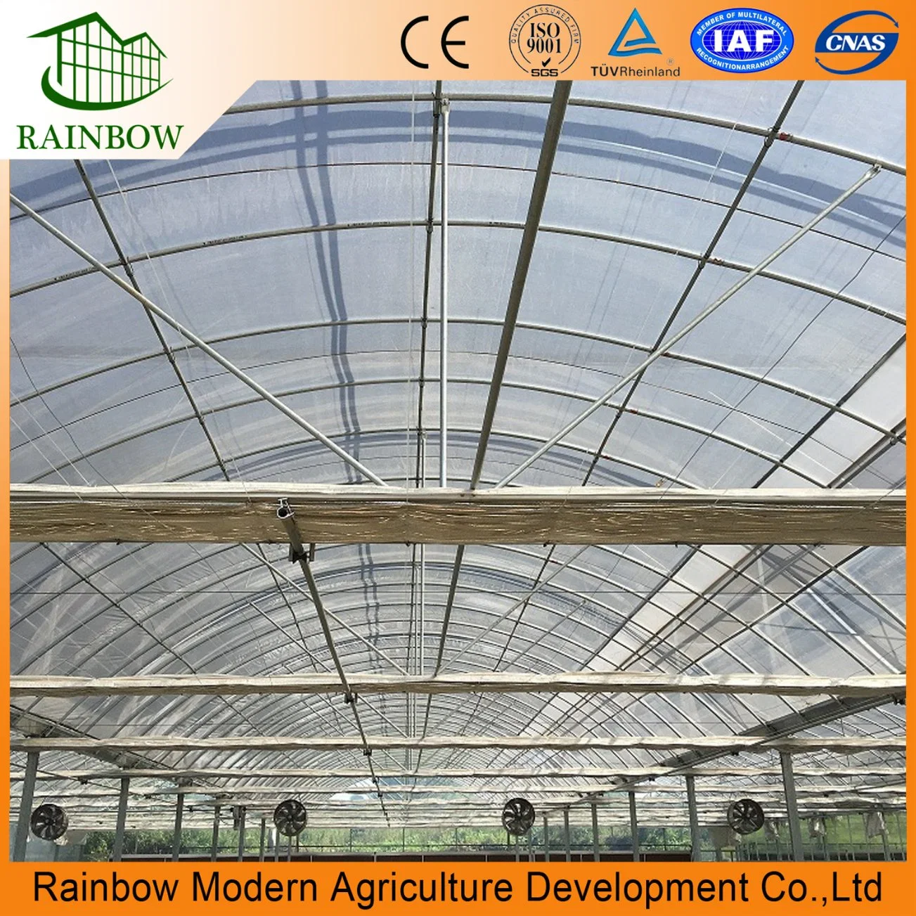 Commercial Multi Span Plastic Film Green House for Vegetable Growing