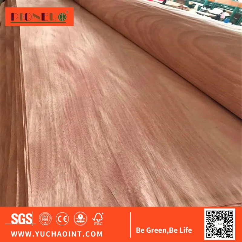 Natural Okoume/Birch/Pine Wood Veneer for India, Malaysia, Indonesia