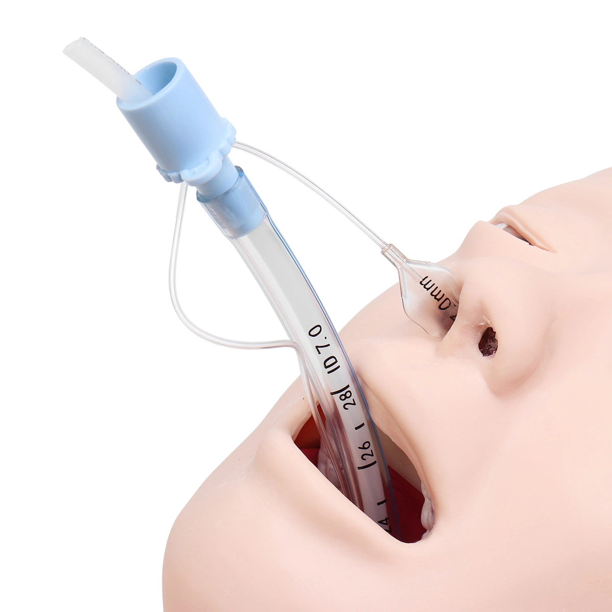 Good Price Classical Intubation Training Model