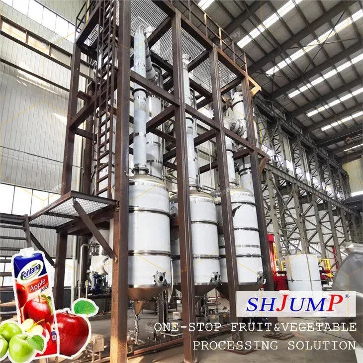 Apple Concentrated Puree Processing Line Apple Pulp Processing Plant Apple Pulp Processing Factory and Machines