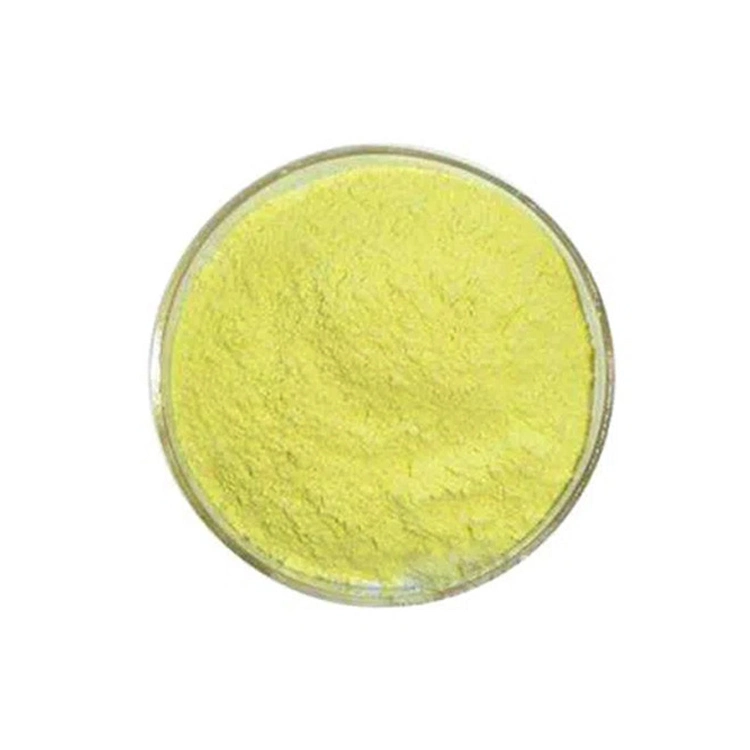 Factory Supply Pure Sophora Japonica Extract Powder