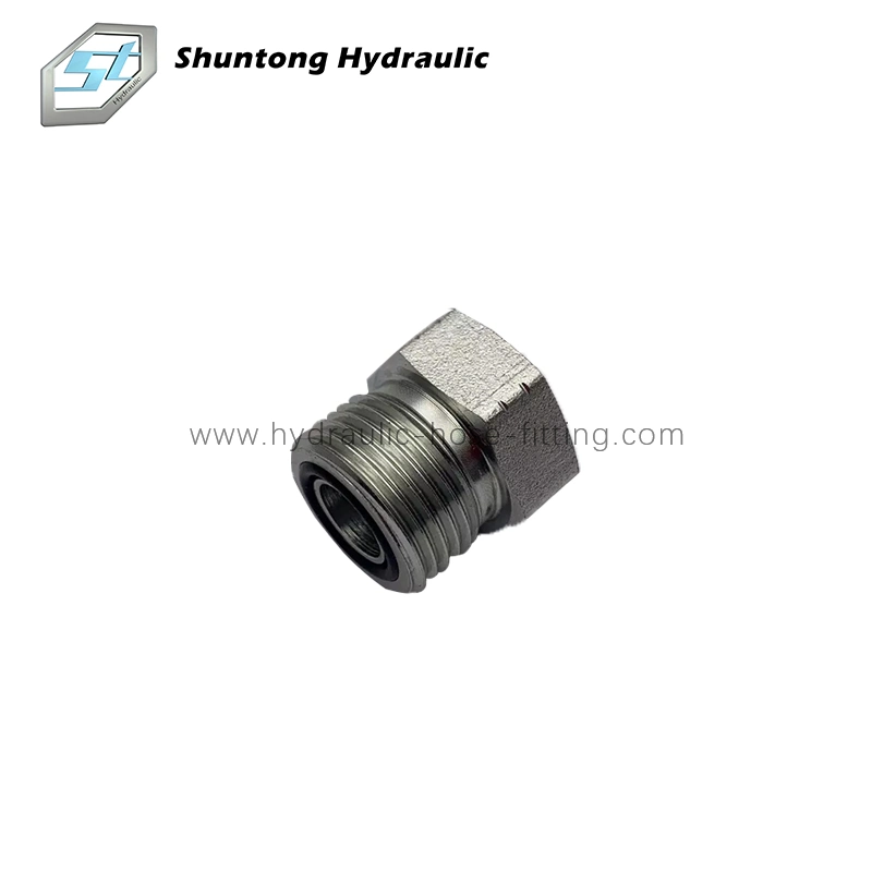 Hose Nipple, Hydraulic Bsp Male Captive Seal Hollow Hex Plug, Hose Fitting