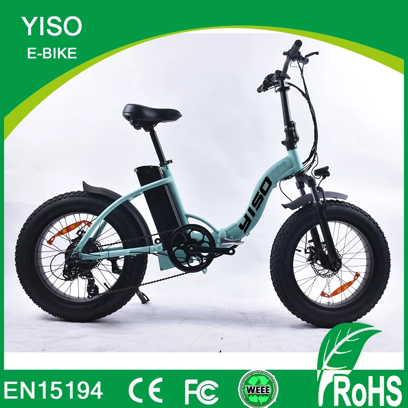 En15194 Fat Electric Bicycle with Ce RoHS TUV