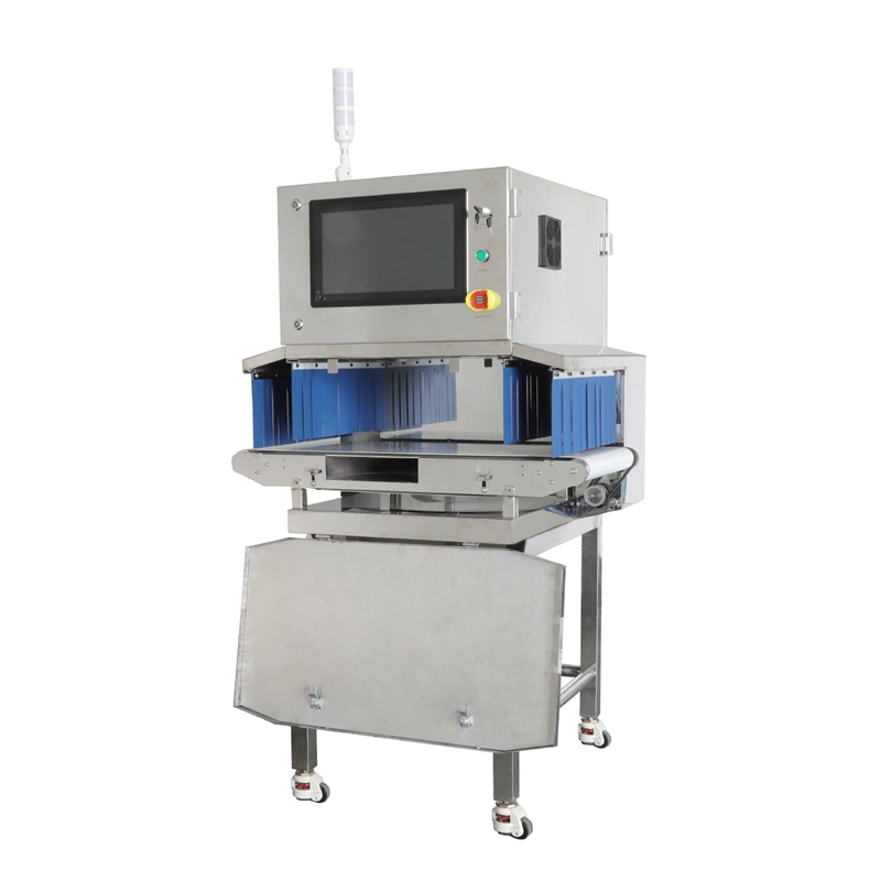 OEM Custom X-ray Food Scanner Lebensmittelsicherheit Inspektion Maschine Metall Detektor