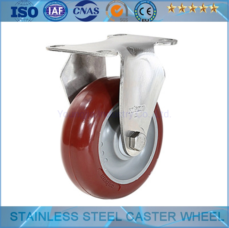 Stainless Steel Rigid Castor (PU, PP, PVC)